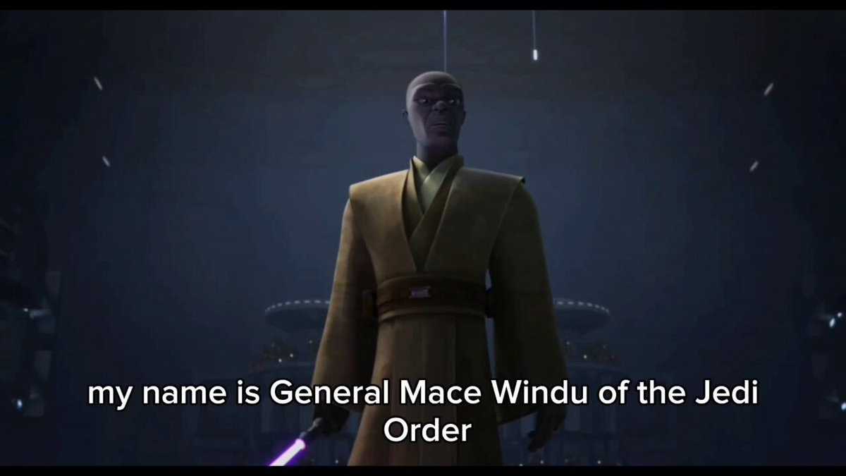 Mace Windu Form III stance