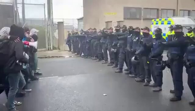 Irish police clash with pro-Palestinian protesters