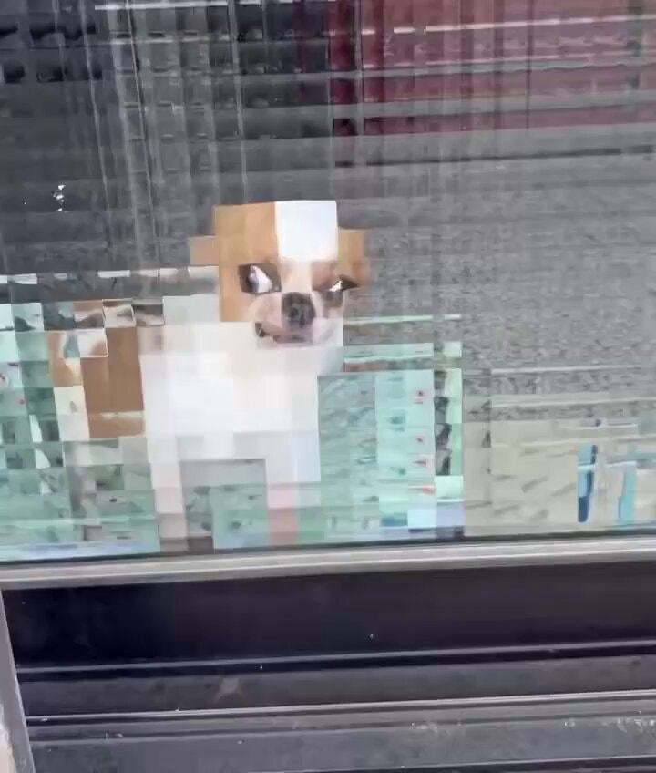 Pixelated Corgi