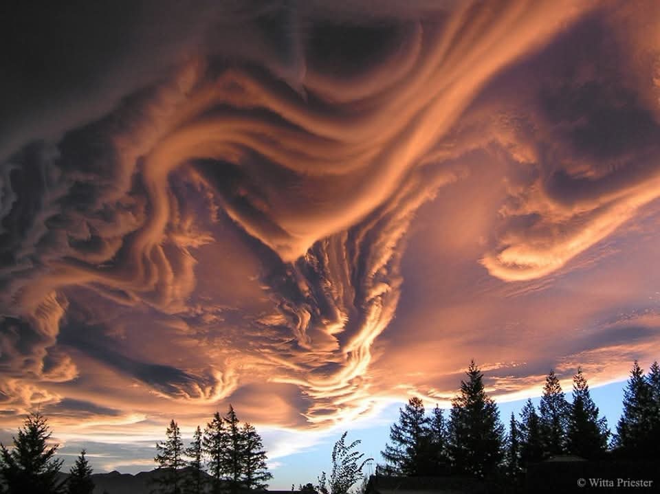 Asperitas clouds New Zealand