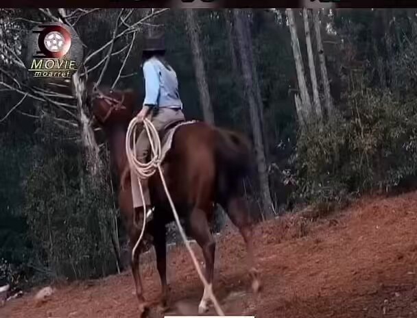 Horror 2021 horse slap scene