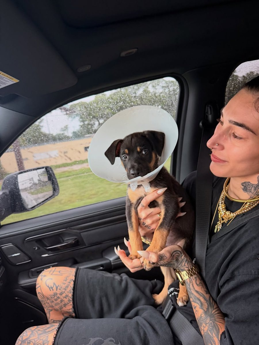 Rhea Ripley Buddy Matthews new puppy Choppa (photo 2 of 3)