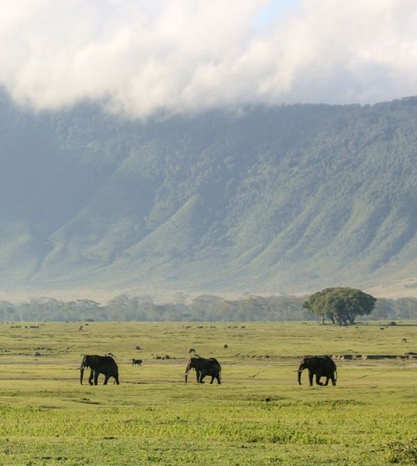 Tanzania (photo 2 of 4)