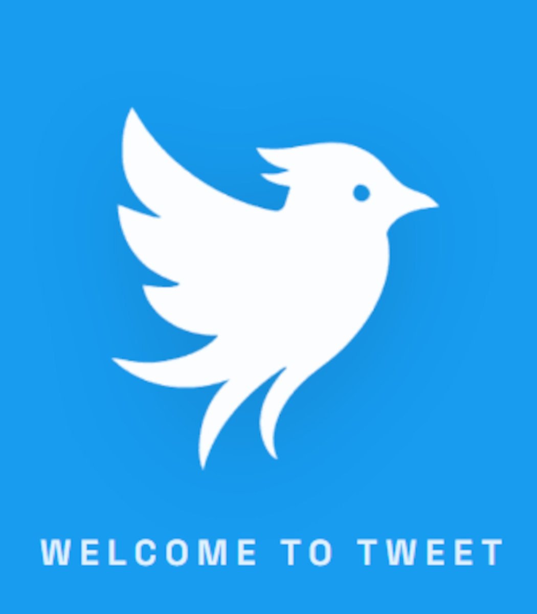 Elon Musk wins Twitter name protection
