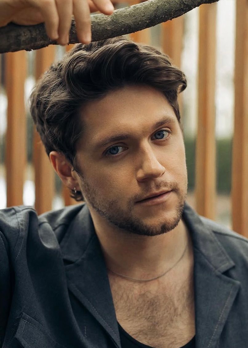 Niall Horan 33rd birthday