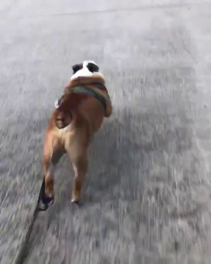 Cam Skattebo running style