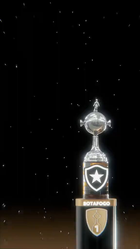 BOTAFOGO Libertadores champions