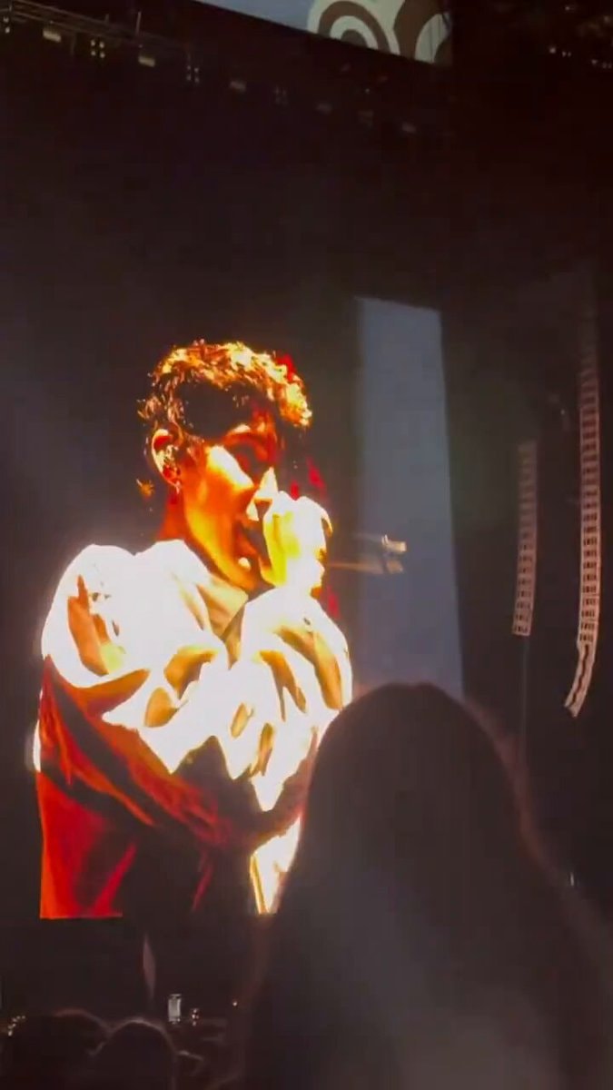 Troye Sivan Le Boy at Charli xcx ACL set