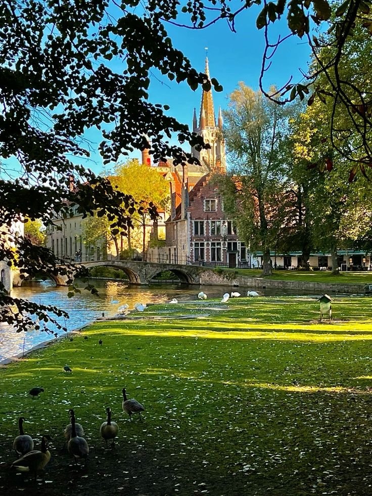 Bruges canal autumn (photo 3 of 4)