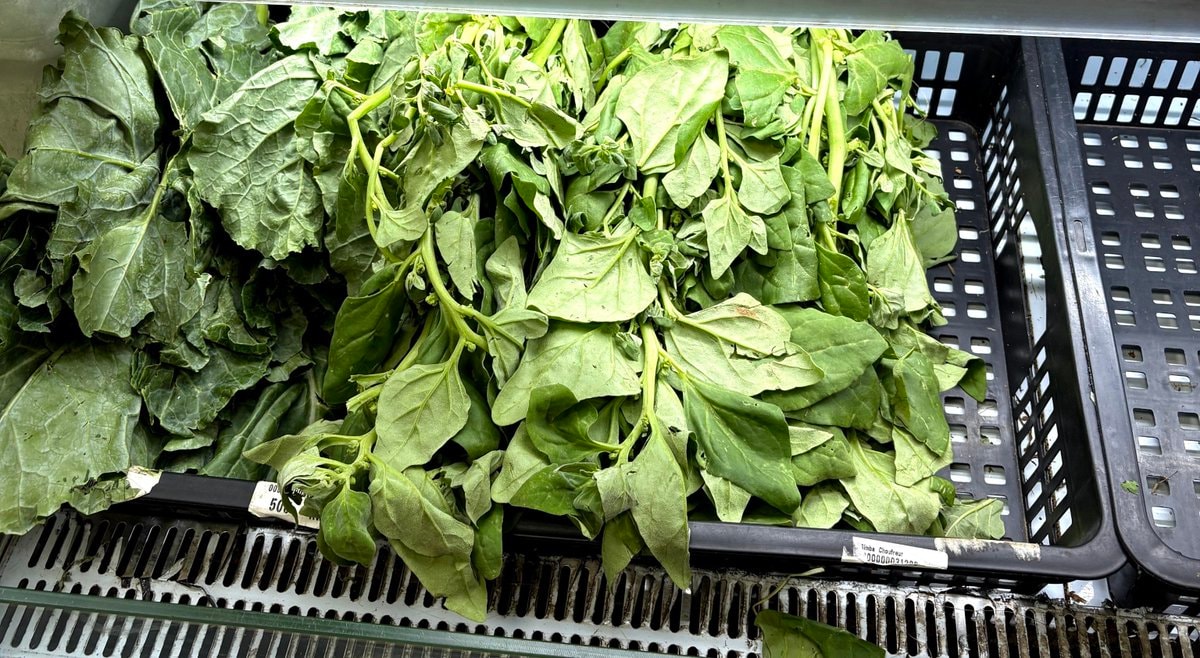 Green vegetables for malnutrition