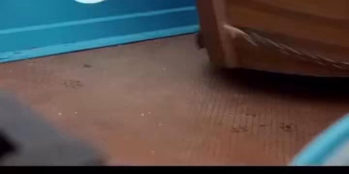 cardboard box horror