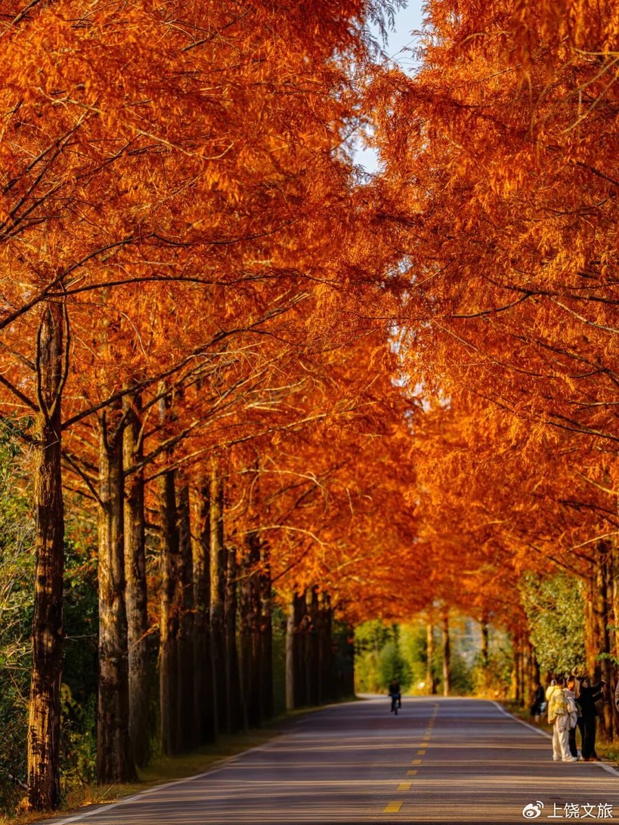 Jiangxi autumn landscapes (photo 3 of 4)