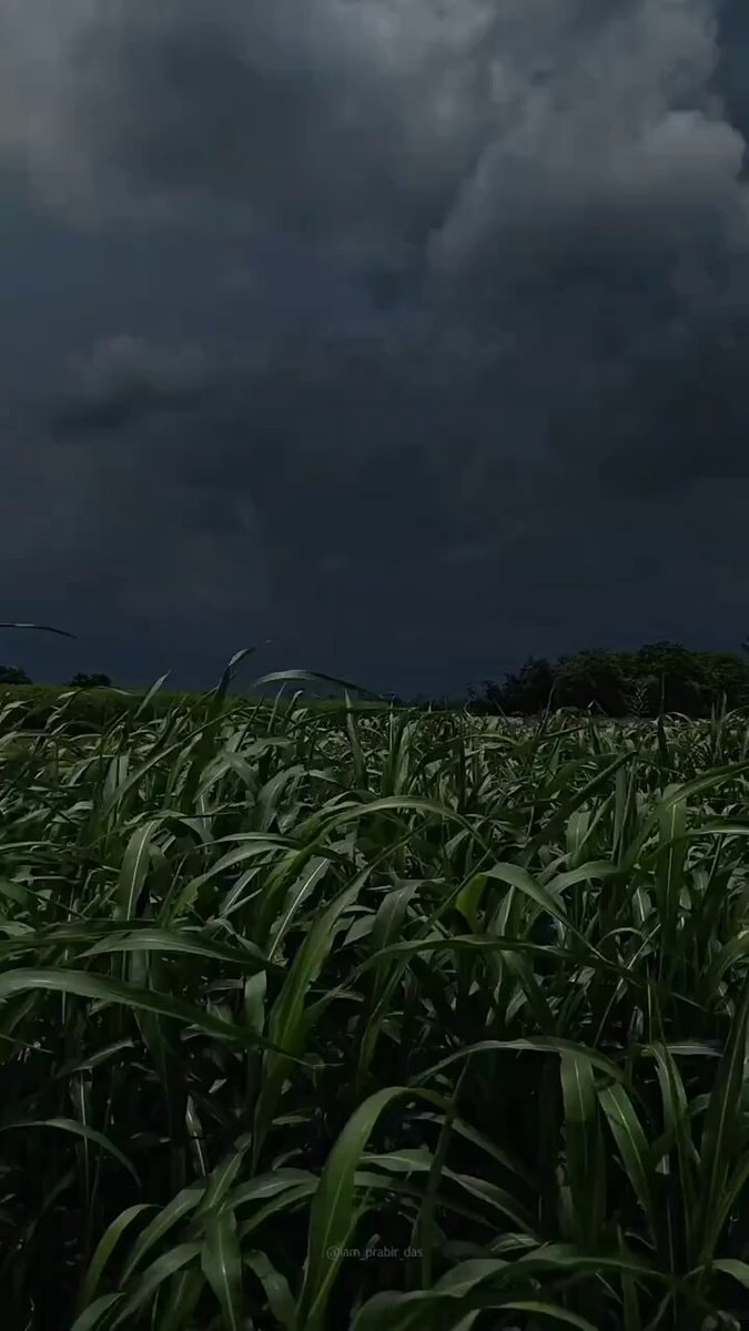 gloomy field therapy @iam_prabir_das