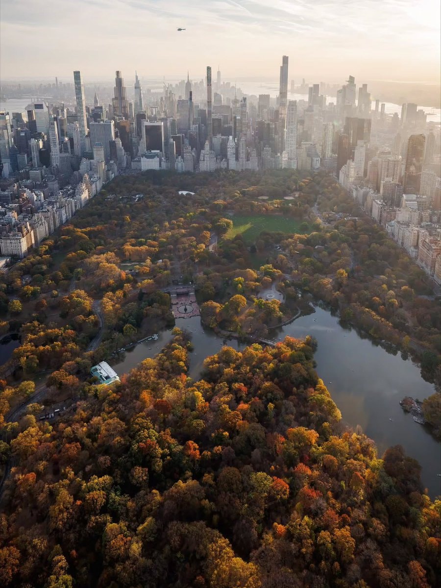 Central Park autumn, New York City (photo 4 of 4)