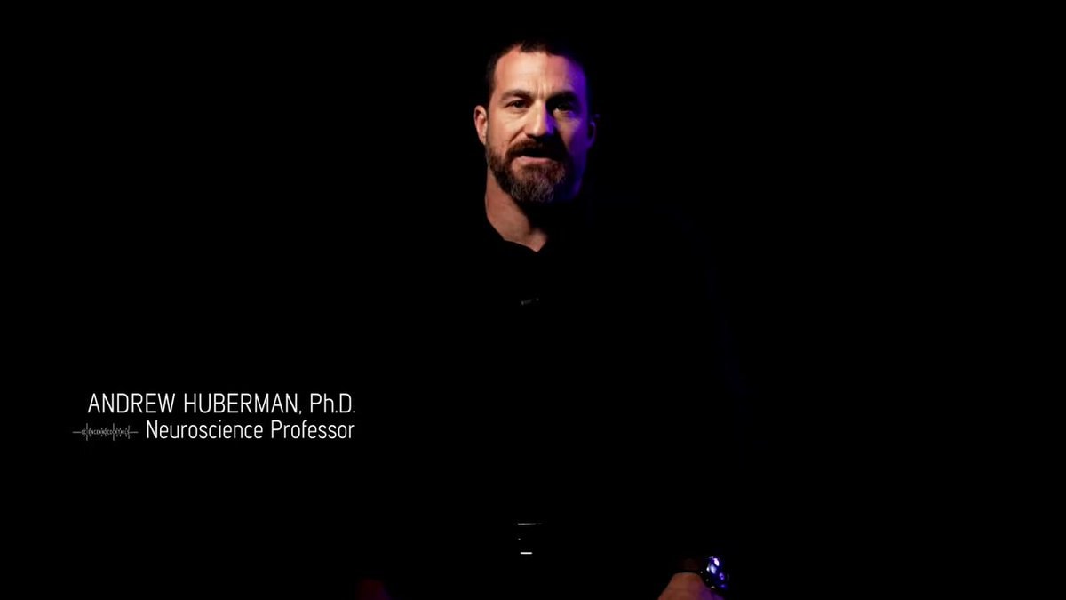 Andrew Huberman on neuroplasticity and prediction maps