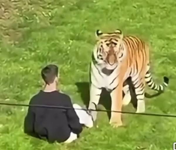 Yorkshire Wildlife Park incident (photo 2 of 2)