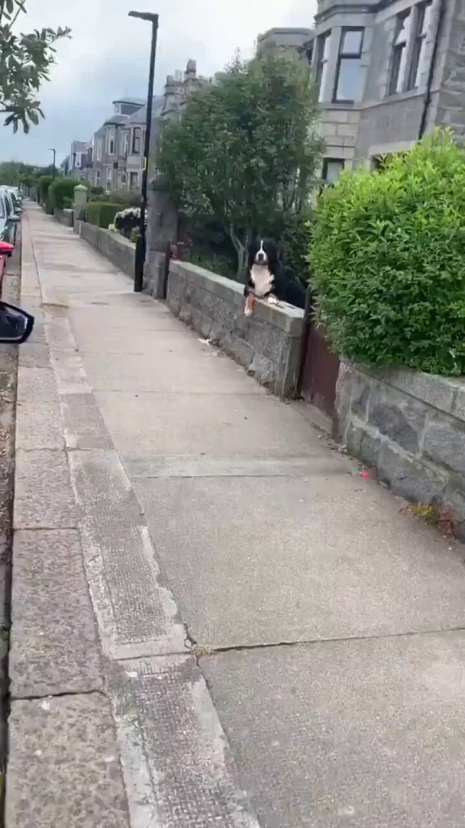 Mom puppy reunion ❤️