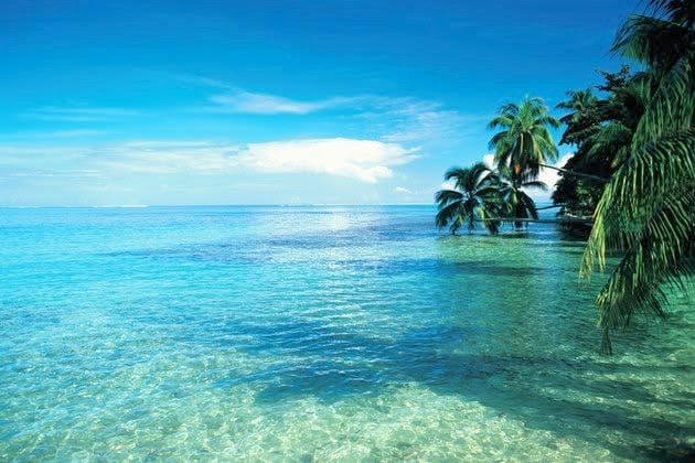 Maldives beach Maldives beach