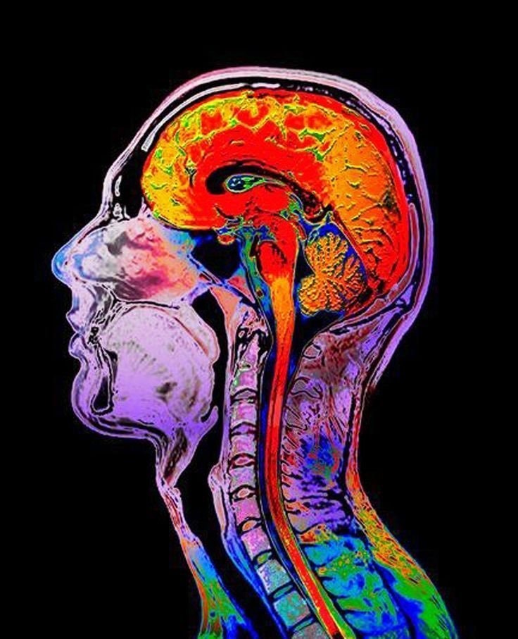 consciousness origin hypothesis consciousness origin hypothesis