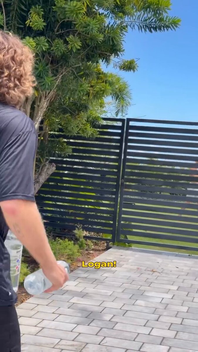 Logan Paul kicks out content creator