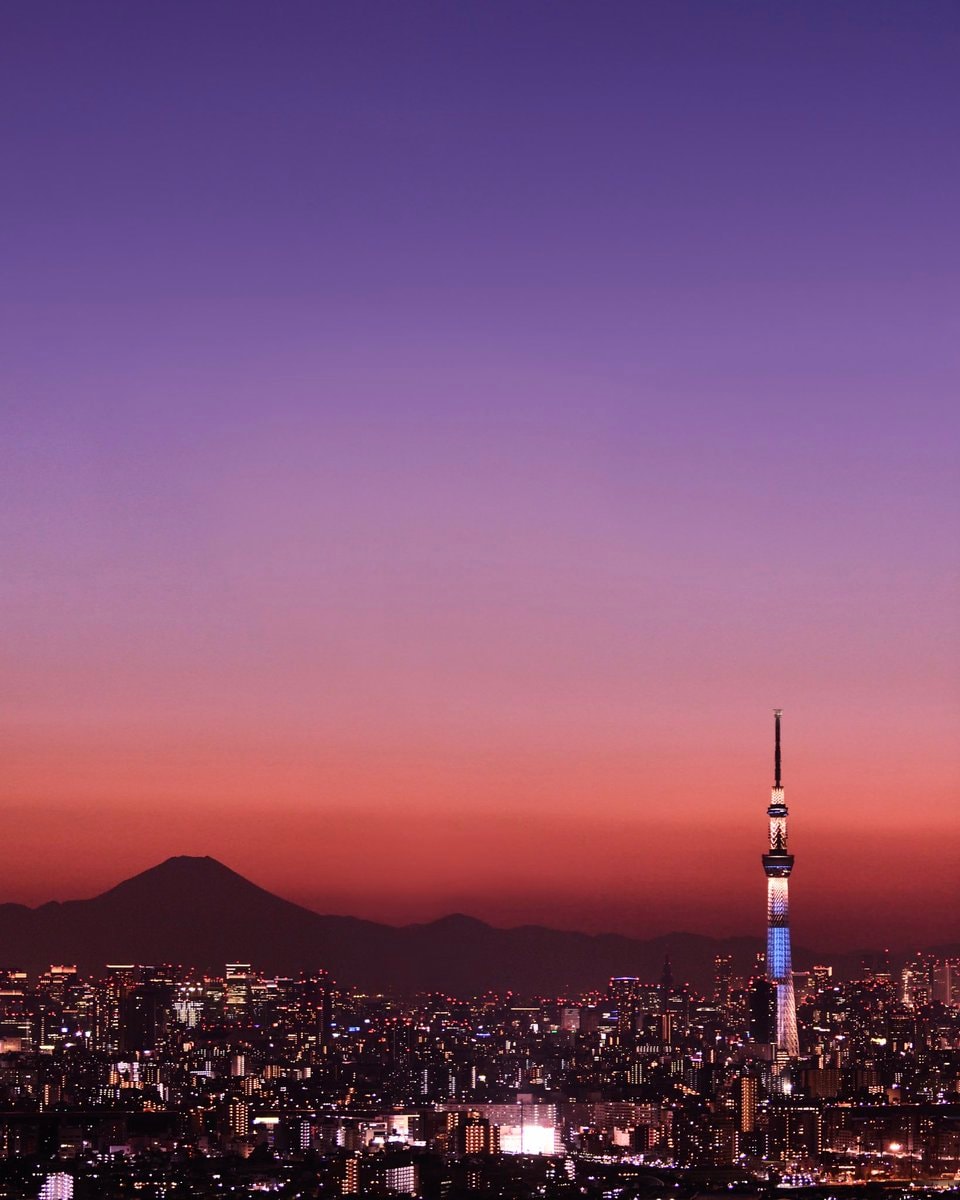 Tokyo Japan skyline at dusk