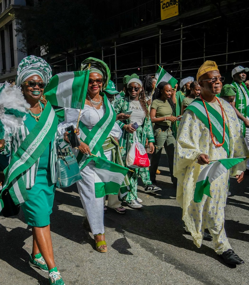 Nigerian Americans education statistics