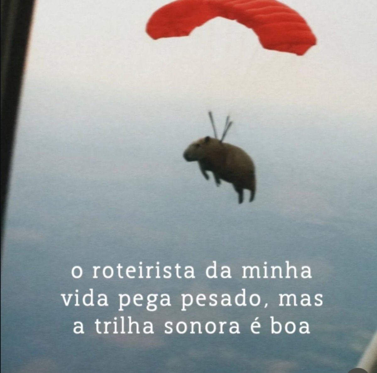 Capybara parachuting Capybara parachuting