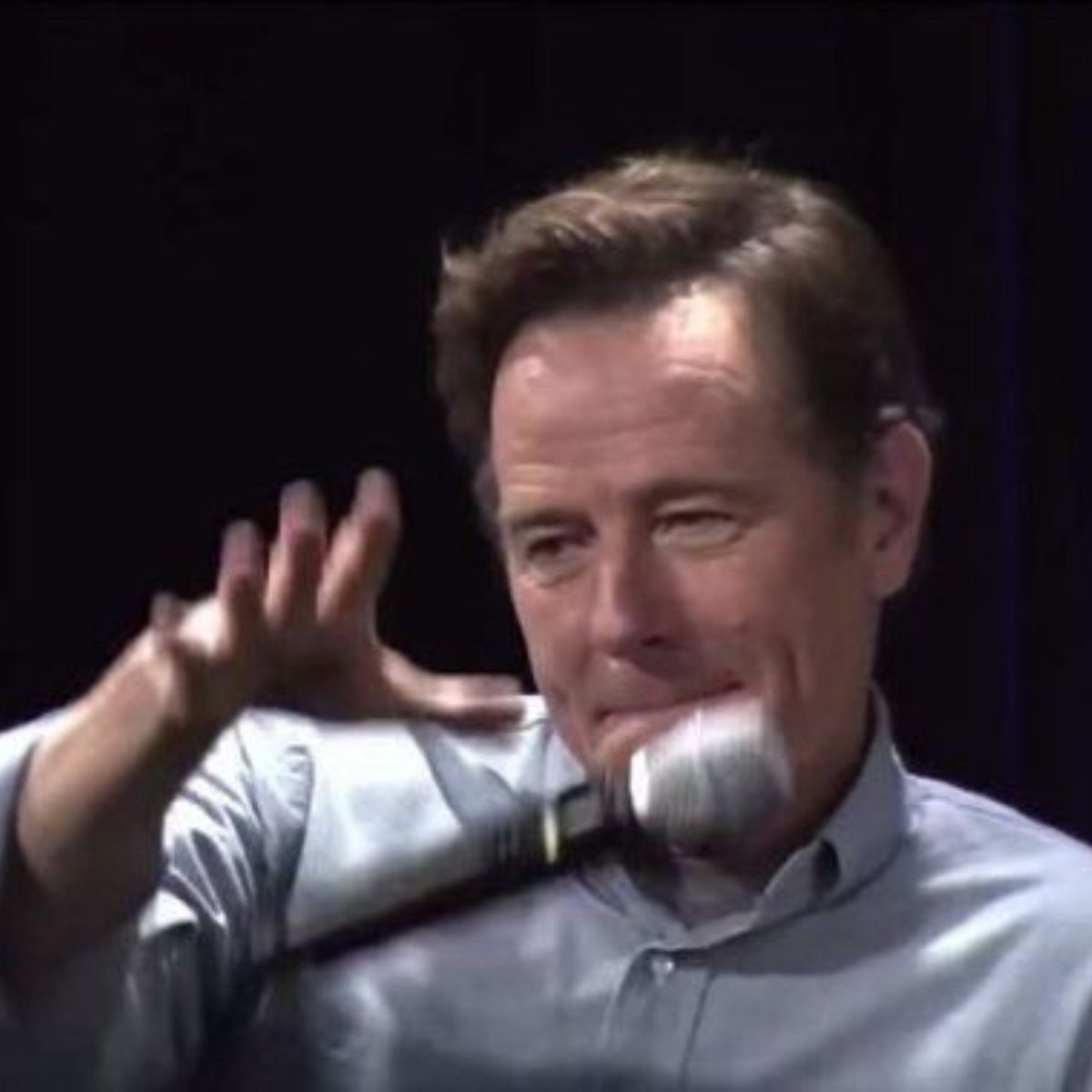 Bryan Cranston Albuquerque roast (photo 1 of 2)