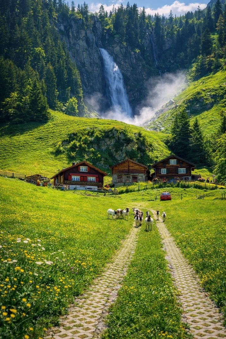 Switzerland countryside (photo 3 of 4)