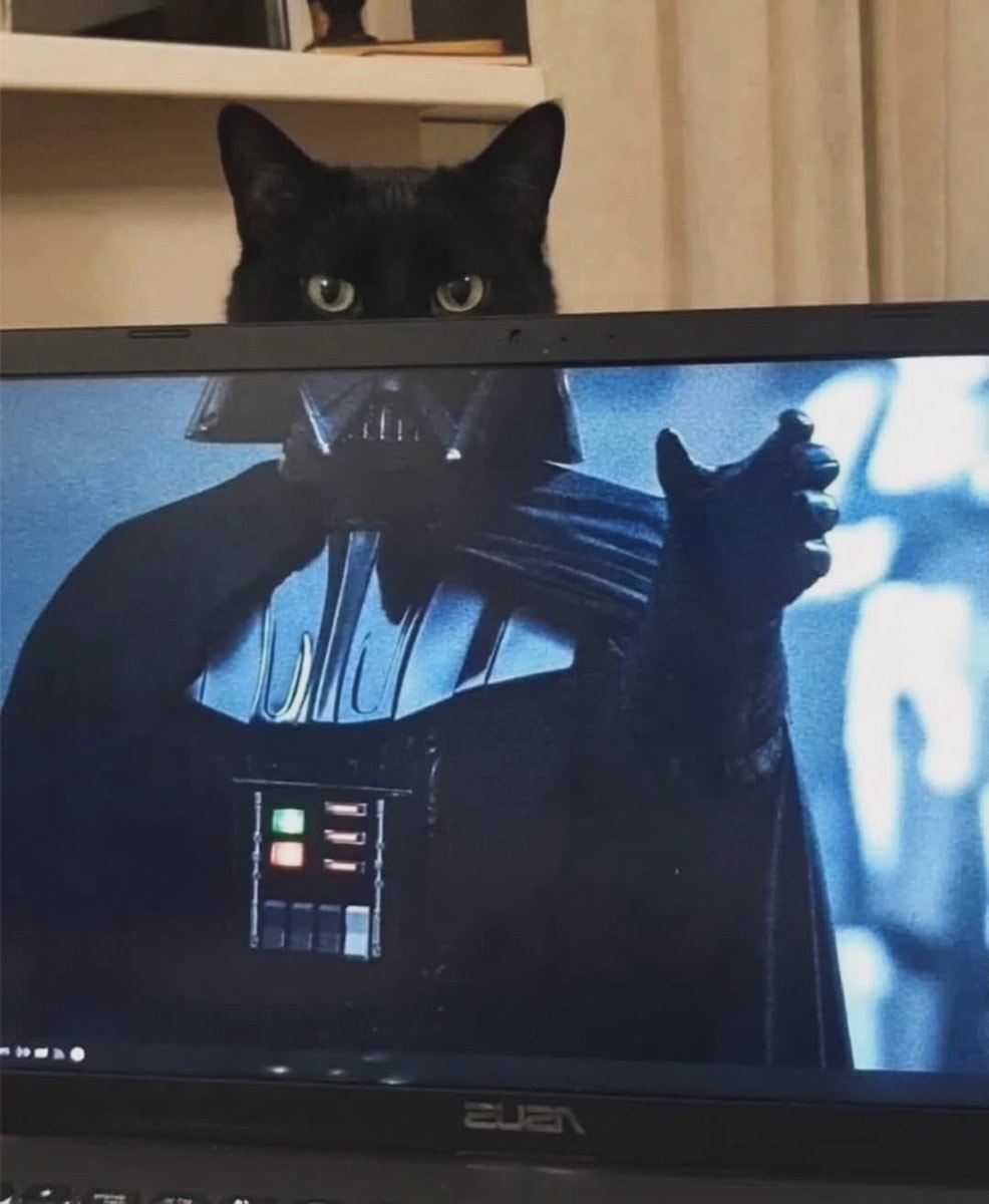 Black cat Darth Vader Batman 🐈‍⬛
