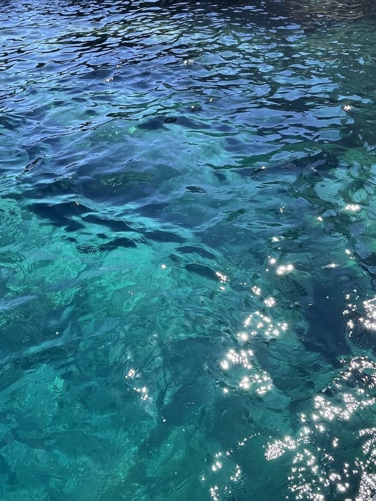 shallow water with sunlight glinting (photo 4 of 4)