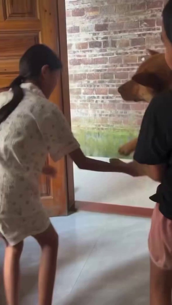 dog joy inclusion moment