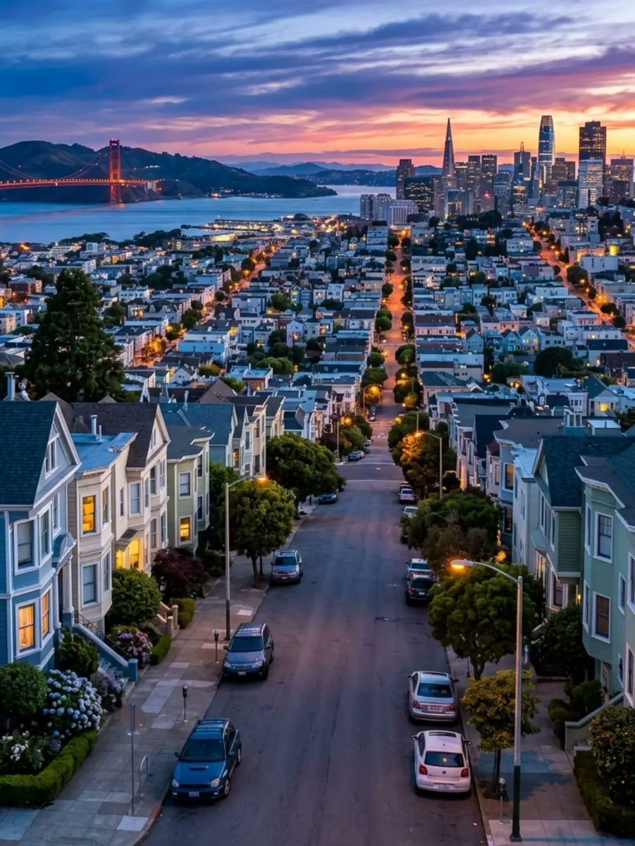 San Francisco Golden Gate Bridge Victorian houses (photo 4 of 4)