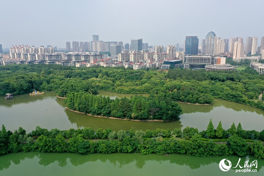 Aixi Lake Wetland Park early summer (photo 3 of 4)