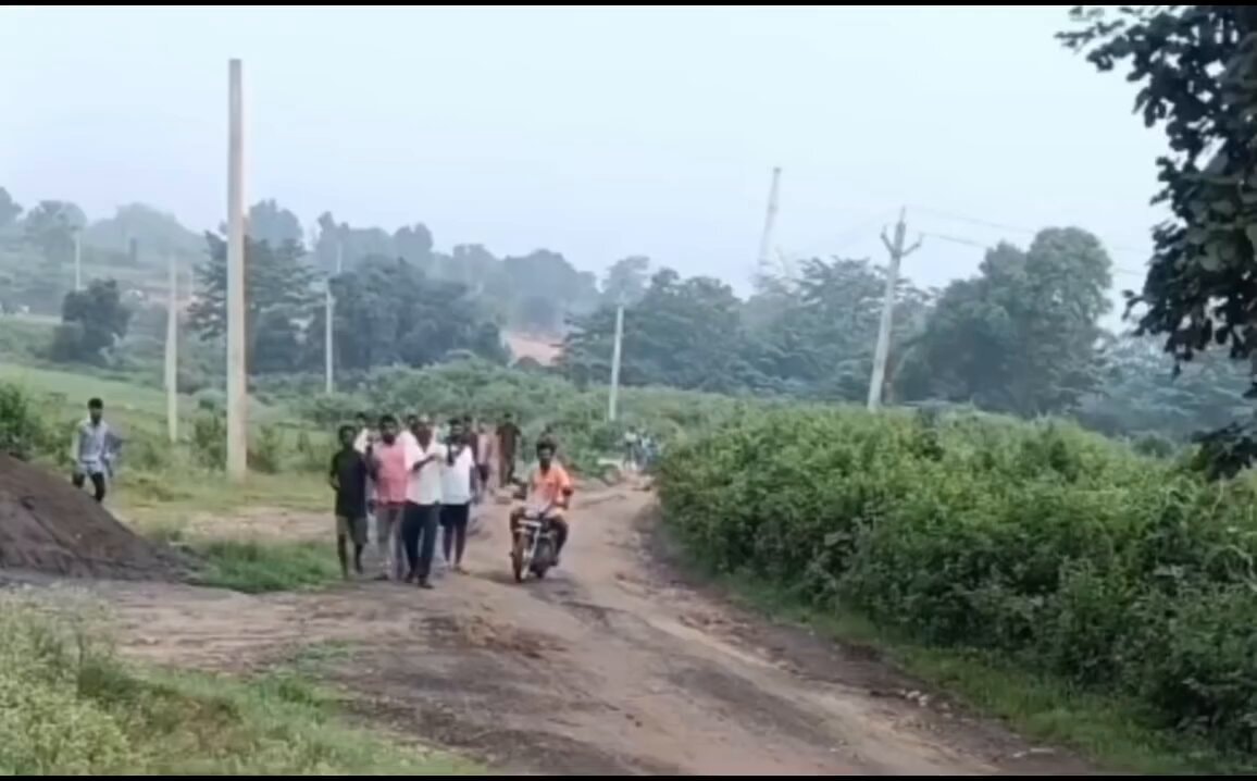 Youth dies in elephant attack