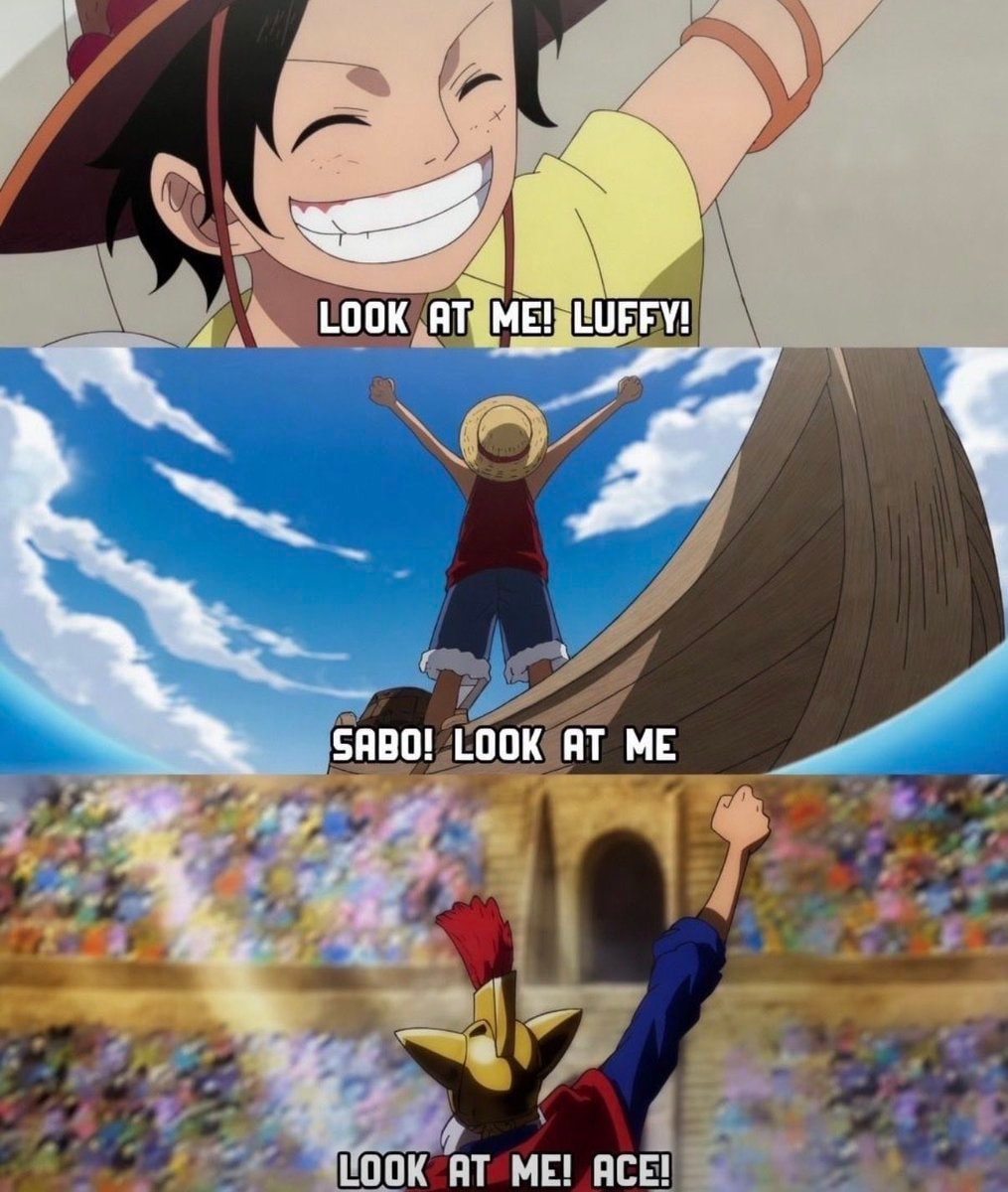 One Piece brothers meme