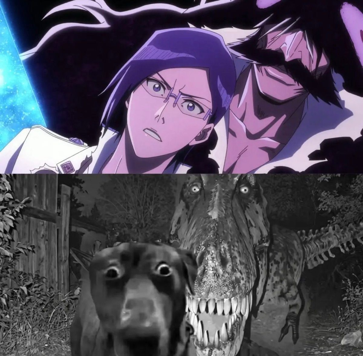 same energy meme same energy meme