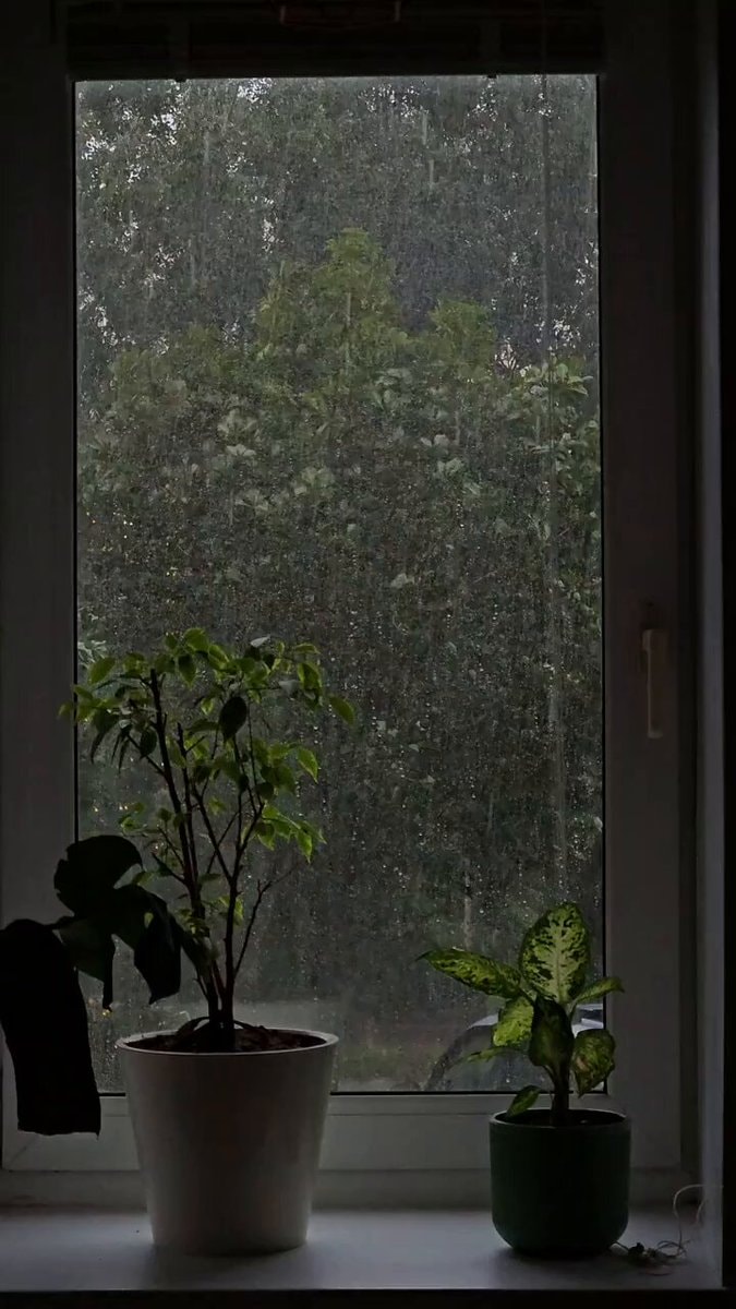 rainy day cozy