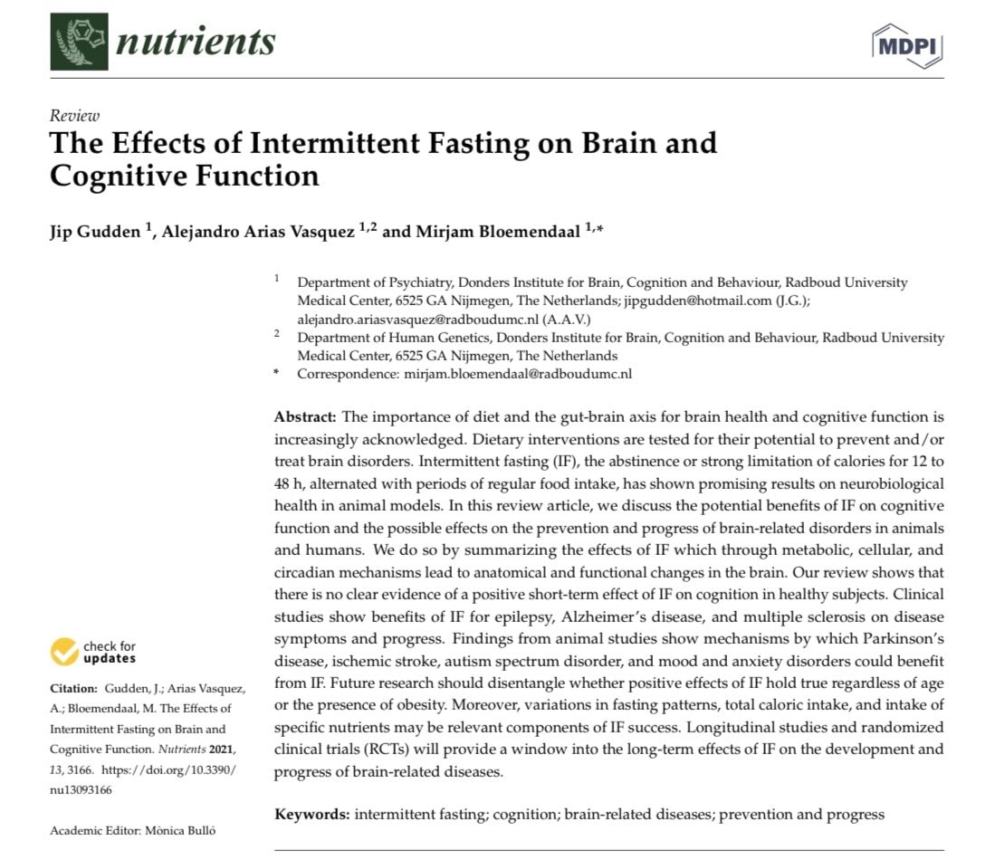 Intermittent Fasting Brain Effects