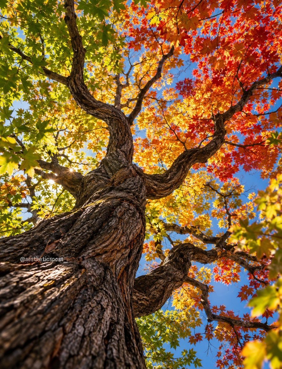 large textured tree with autumn leaves