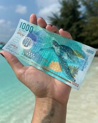 Maldives 1000 Rufiyaa banknote beautiful currency (photo 2 of 2)