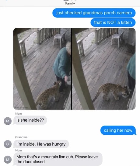 Grandma feeding joke