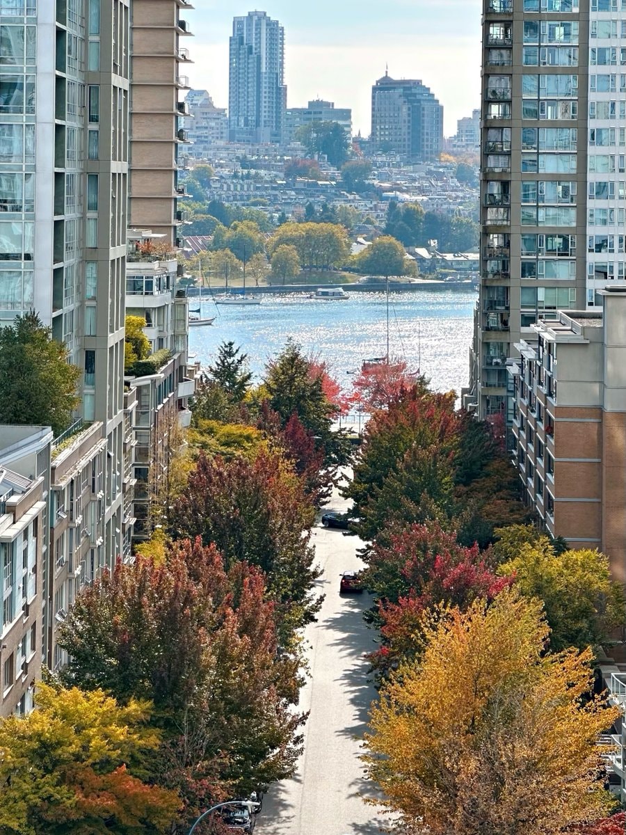 Vancouver marina boats (photo 3 of 4)