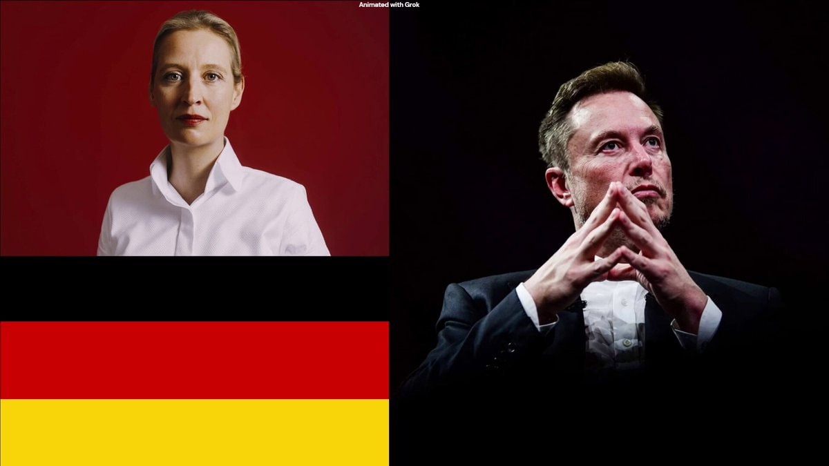 Elon Musk on AfD surge