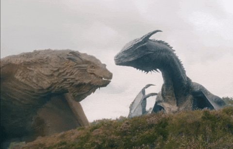 Vermithor Silverwing Caraxes stare down
