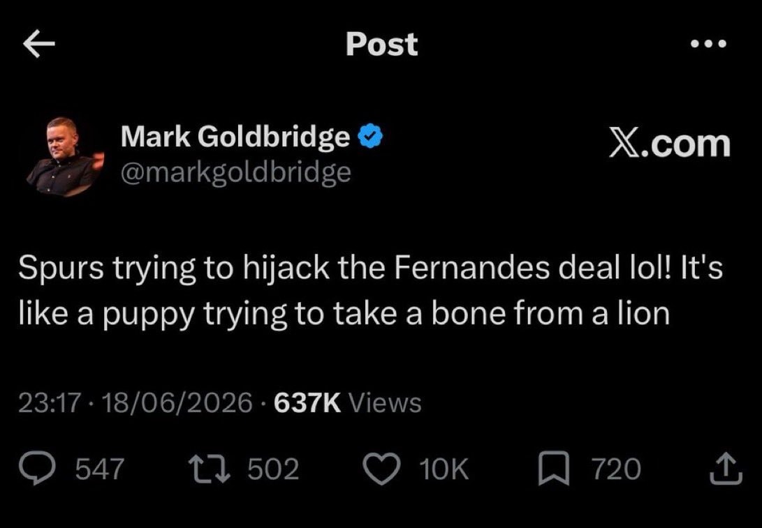 Mark Goldbridge Spurs Fernandes deal