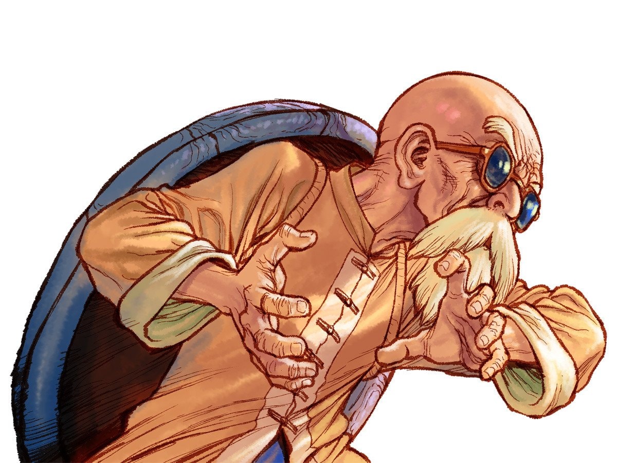 BOICHI Master Roshi DRAGON BALL