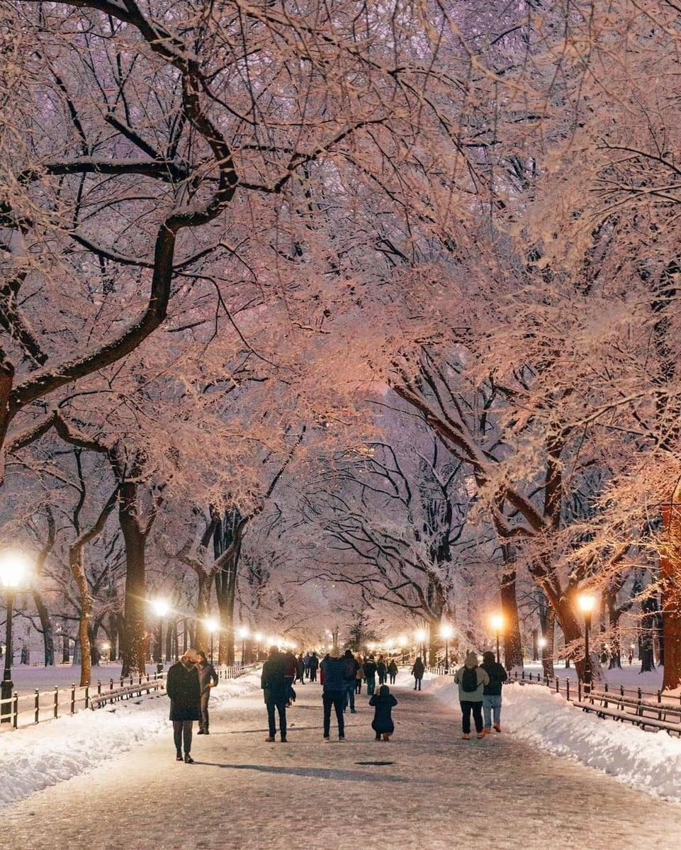Central Park New York (photo 4 of 4)