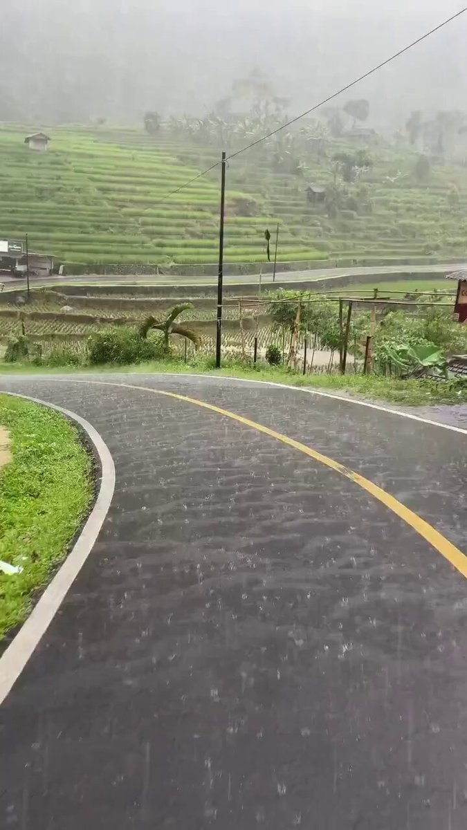 Indonesia rice terraces rain