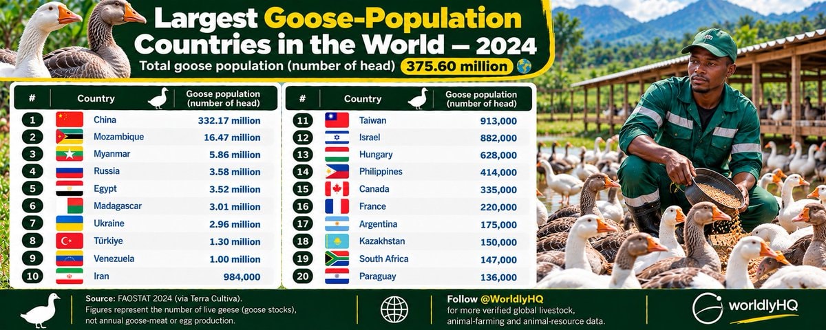 2024 Global Goose Population Stocks by Country